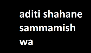 Read more about the article Exploring the Life and Achievements of Aditi Shahane in Sammamish WA