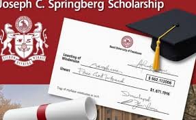 Read more about the article 5 Ways the Joseph C. Springberg Scholarship at UW Madison Supports Future Leaders