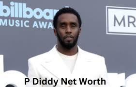 Read more about the article P Diddy Net Worth: An In-Depth Look at Sean Combs’ Wealth and Success